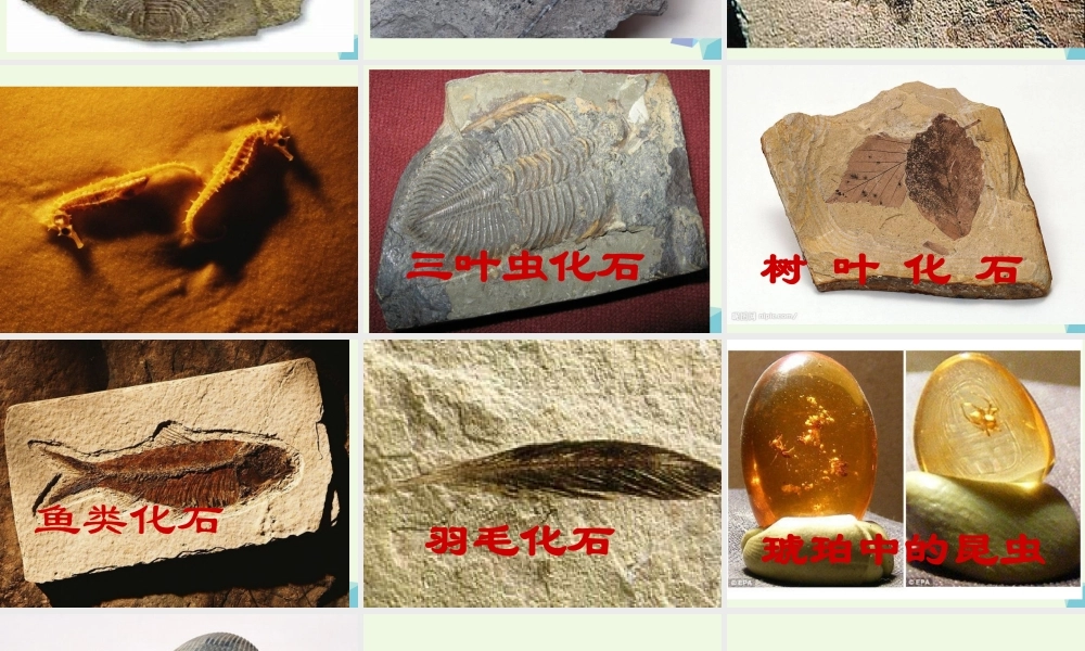 五年级科学上册 第18课 地表探秘课件3 冀教版-冀教版小学五年级上册自然科学课件