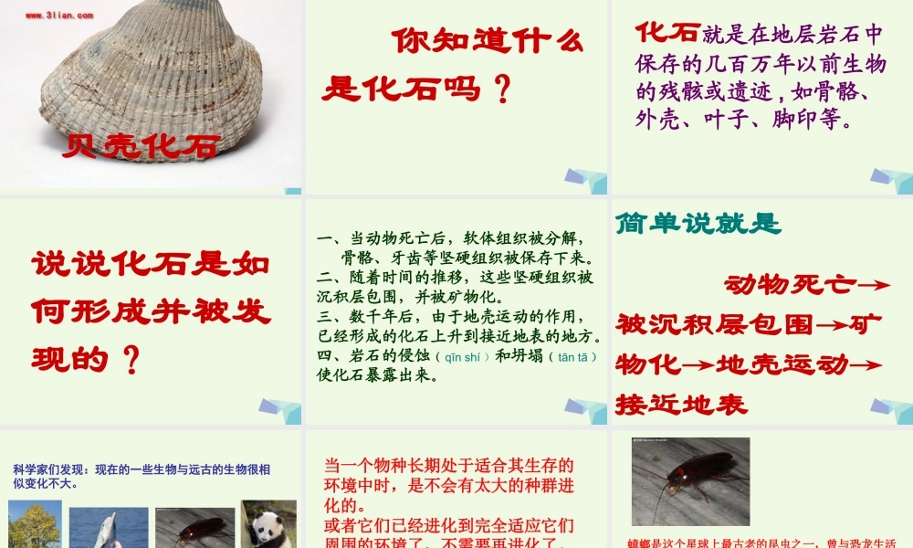 五年级科学上册 第18课 地表探秘课件3 冀教版-冀教版小学五年级上册自然科学课件