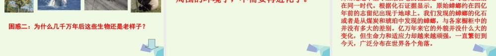五年级科学上册 第18课 地表探秘课件3 冀教版-冀教版小学五年级上册自然科学课件