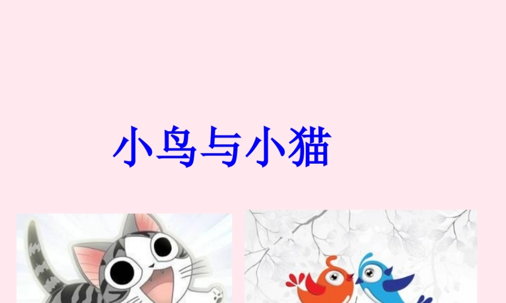 五年级科学下册 第6课《小鸟和小猫》课件3 冀教版-冀教版小学五年级下册自然科学课件