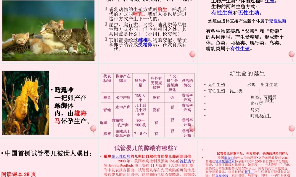 五年级科学下册 第6课《小鸟和小猫》课件3 冀教版-冀教版小学五年级下册自然科学课件