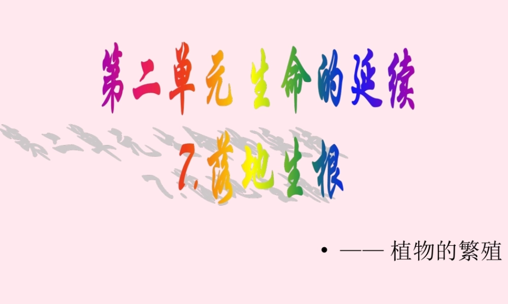 五年级科学下册 第7课《落地生根》课件1 冀教版-冀教版小学五年级下册自然科学课件