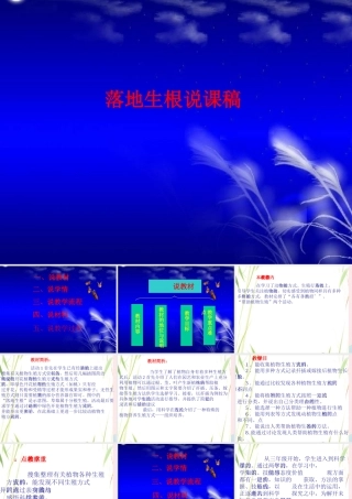 五年级科学下册 第7课《落地生根》课件3 冀教版-冀教版小学五年级下册自然科学课件