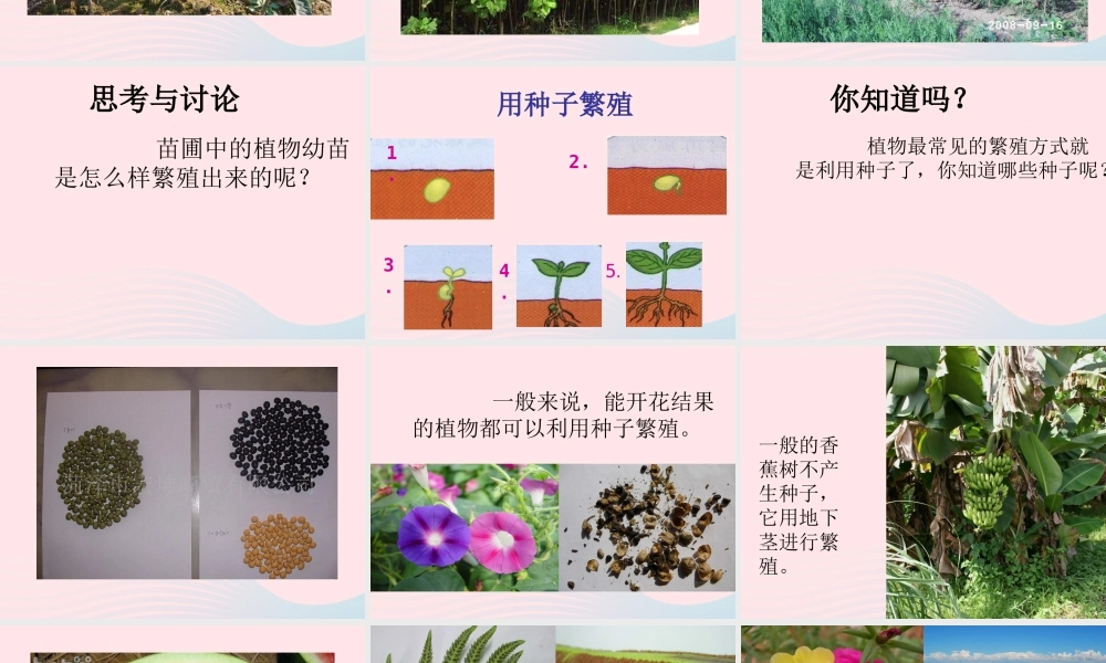 五年级科学下册 第7课《植物的繁殖》课件 鄂教版-鄂教版小学五年级下册自然科学课件