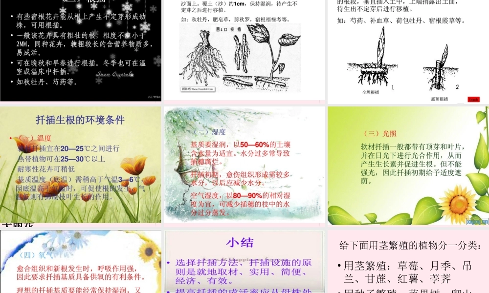 五年级科学下册 第8课《茎繁殖》课件1 鄂教版-鄂教版小学五年级下册自然科学课件