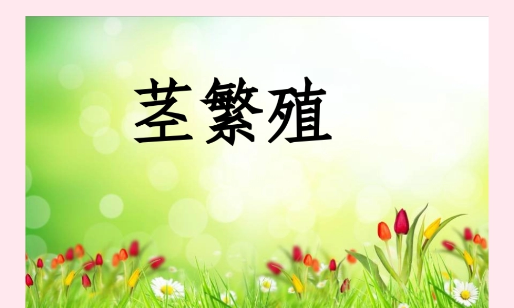 五年级科学下册 第8课《茎繁殖》课件2 鄂教版-鄂教版小学五年级下册自然科学课件