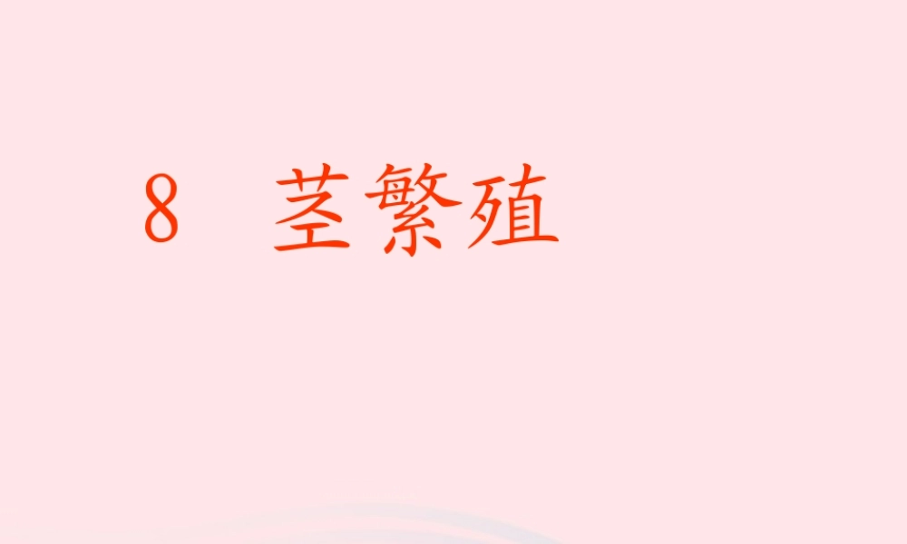 五年级科学下册 第8课《茎繁殖》课件3 鄂教版-鄂教版小学五年级下册自然科学课件