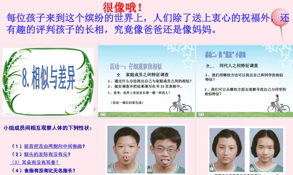 五年级科学下册 第8课《相似与差异》课件1 冀教版-冀教版小学五年级下册自然科学课件