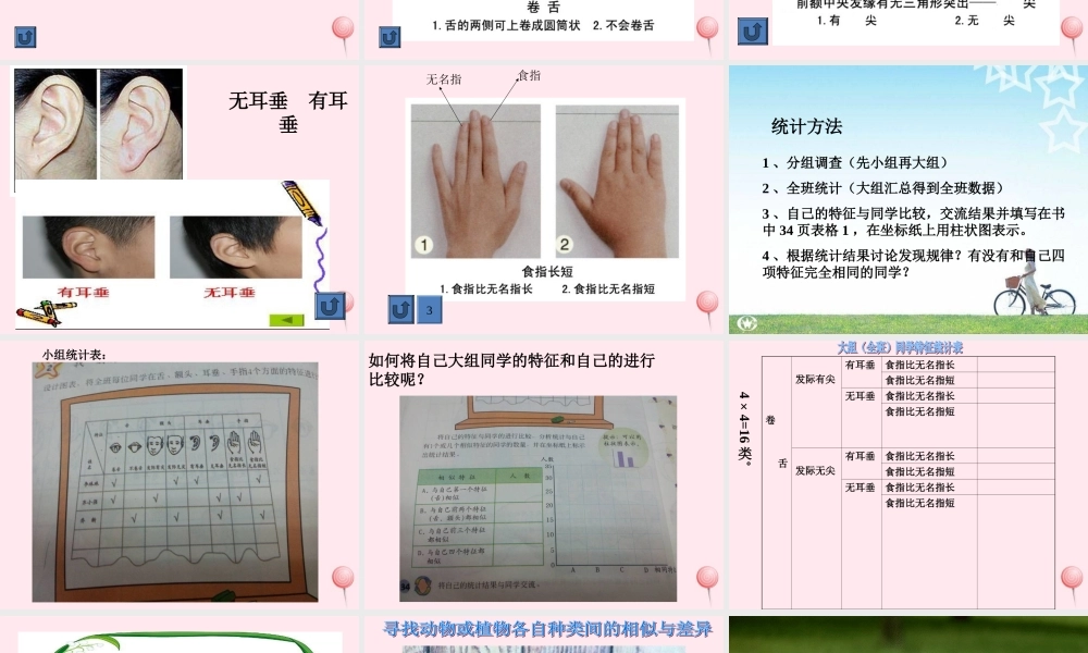 五年级科学下册 第8课《相似与差异》课件1 冀教版-冀教版小学五年级下册自然科学课件