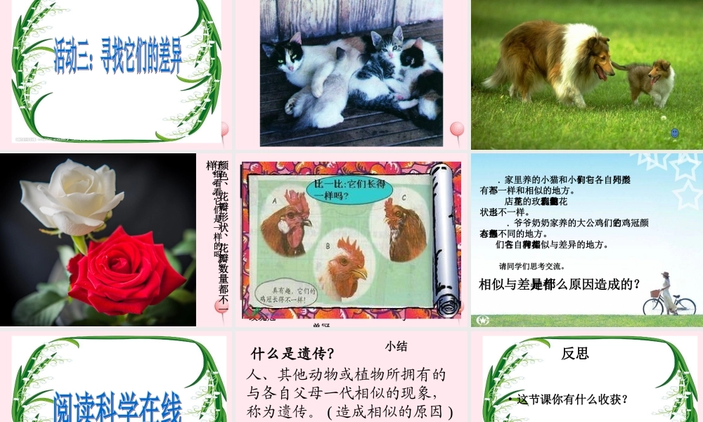 五年级科学下册 第8课《相似与差异》课件1 冀教版-冀教版小学五年级下册自然科学课件
