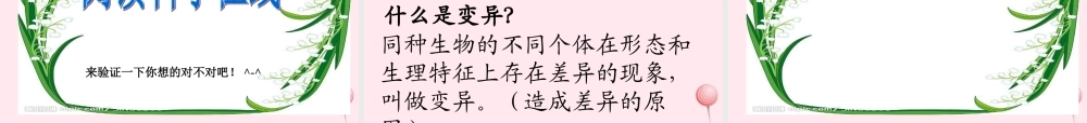 五年级科学下册 第8课《相似与差异》课件1 冀教版-冀教版小学五年级下册自然科学课件