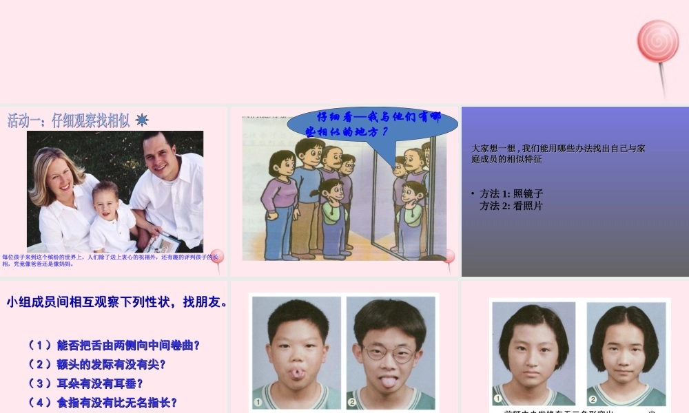 五年级科学下册 第8课《相似与差异》课件2 冀教版-冀教版小学五年级下册自然科学课件