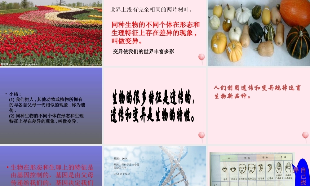 五年级科学下册 第8课《相似与差异》课件2 冀教版-冀教版小学五年级下册自然科学课件