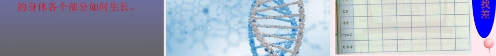 五年级科学下册 第8课《相似与差异》课件2 冀教版-冀教版小学五年级下册自然科学课件