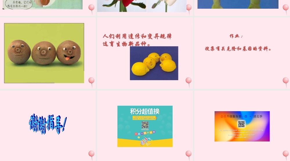 五年级科学下册 第8课《相似与差异》课件3 冀教版-冀教版小学五年级下册自然科学课件