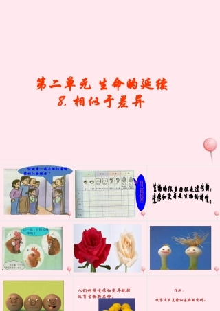 五年级科学下册 第8课《相似与差异》课件3 冀教版-冀教版小学五年级下册自然科学课件