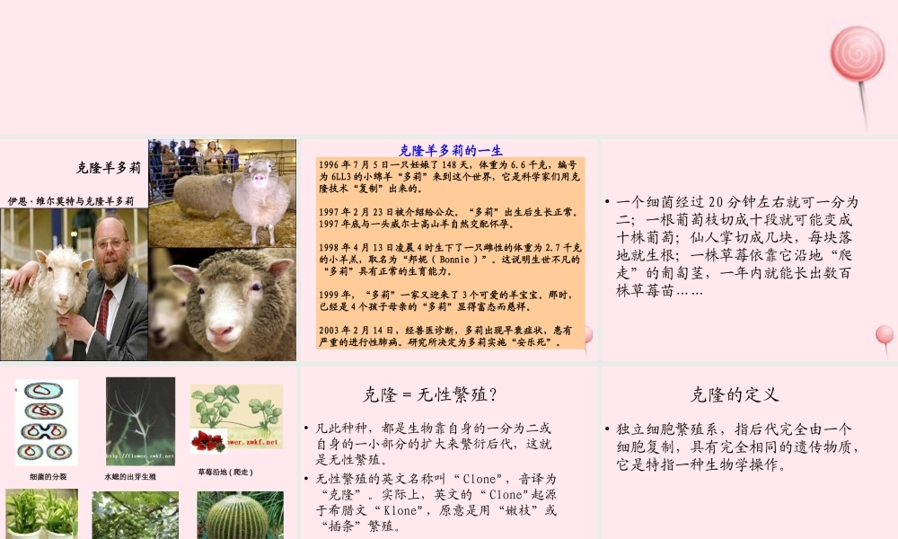 五年级科学下册 第9课《克隆羊 多莉》课件1 冀教版-冀教版小学五年级下册自然科学课件
