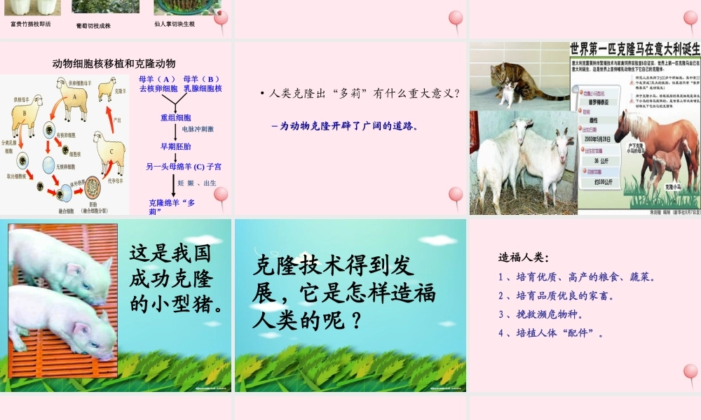 五年级科学下册 第9课《克隆羊 多莉》课件1 冀教版-冀教版小学五年级下册自然科学课件