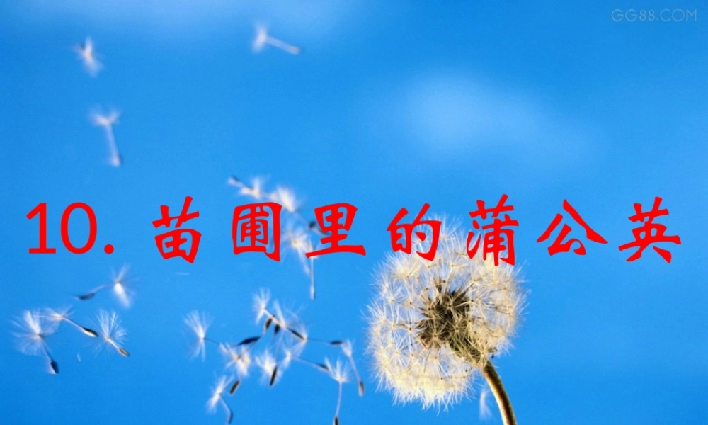 五年级科学下册 第10课《苗圃里的蒲公英》课件 鄂教版-鄂教版小学五年级下册自然科学课件