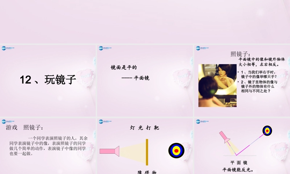 五年级科学下册《玩镜子》课件3 青岛版