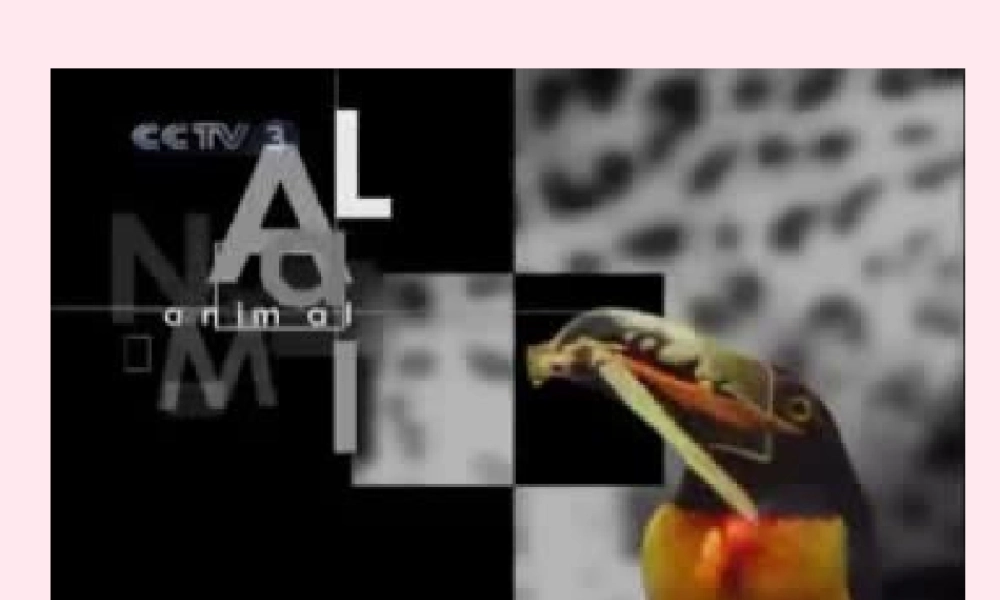 五年级科学下册 第10课《生命从哪里来》课件1 冀教版-冀教版小学五年级下册自然科学课件