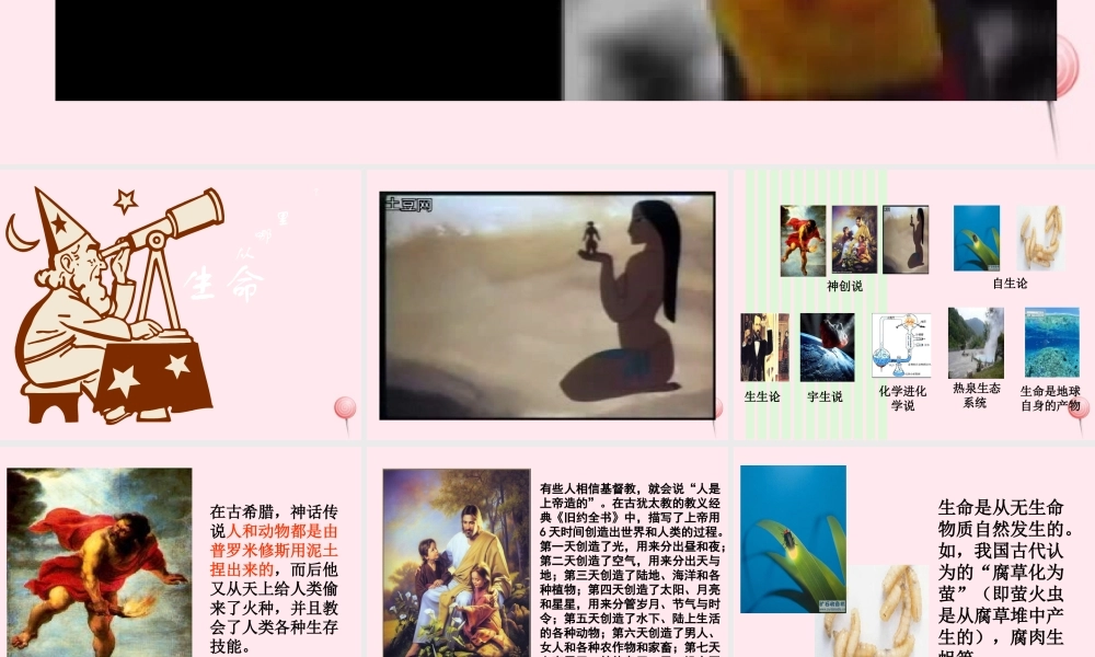 五年级科学下册 第10课《生命从哪里来》课件1 冀教版-冀教版小学五年级下册自然科学课件