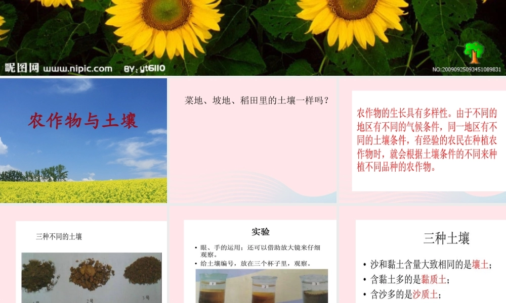 五年级科学上册 第20课《农作物与土壤》课件（2） 鄂教版-鄂教版小学五年级上册自然科学课件