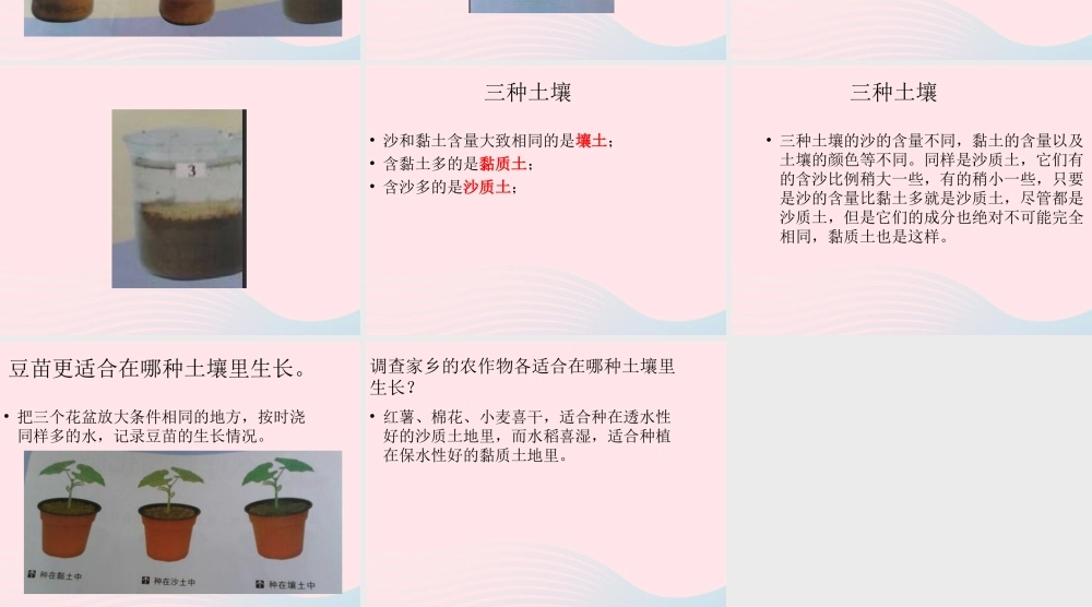 五年级科学上册 第20课《农作物与土壤》课件（3） 鄂教版-鄂教版小学五年级上册自然科学课件