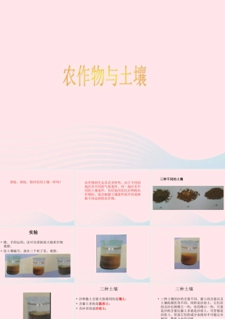 五年级科学上册 第20课《农作物与土壤》课件（3） 鄂教版-鄂教版小学五年级上册自然科学课件