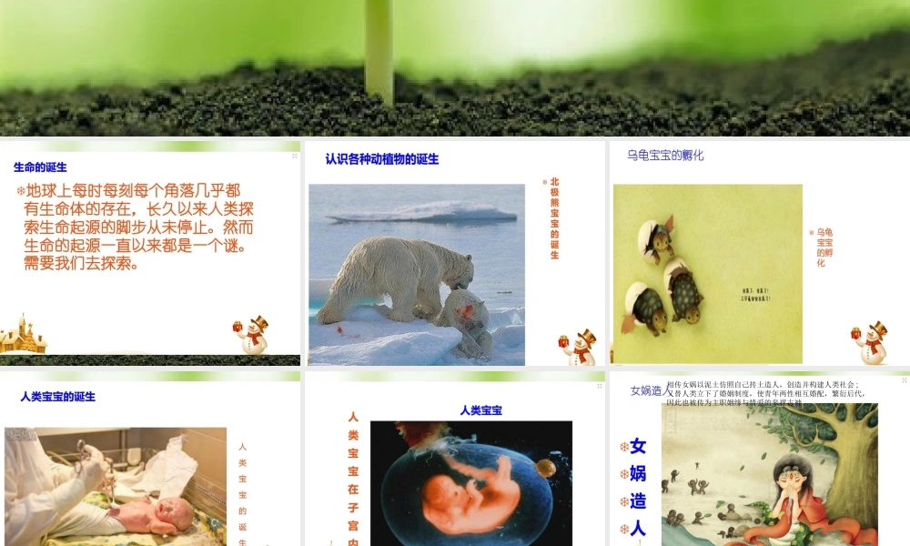 五年级科学下册 第10课《生命从哪里来》课件2 冀教版-冀教版小学五年级下册自然科学课件