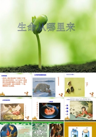 五年级科学下册 第10课《生命从哪里来》课件2 冀教版-冀教版小学五年级下册自然科学课件