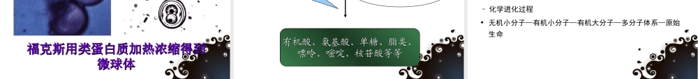五年级科学下册 第10课《生命从哪里来》课件3 冀教版-冀教版小学五年级下册自然科学课件