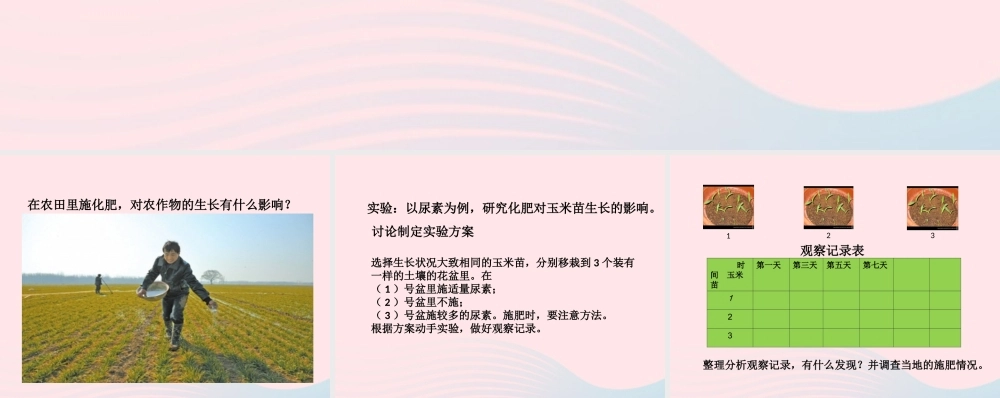 五年级科学上册 第21课《农作物与化肥》课件 鄂教版-鄂教版小学五年级上册自然科学课件