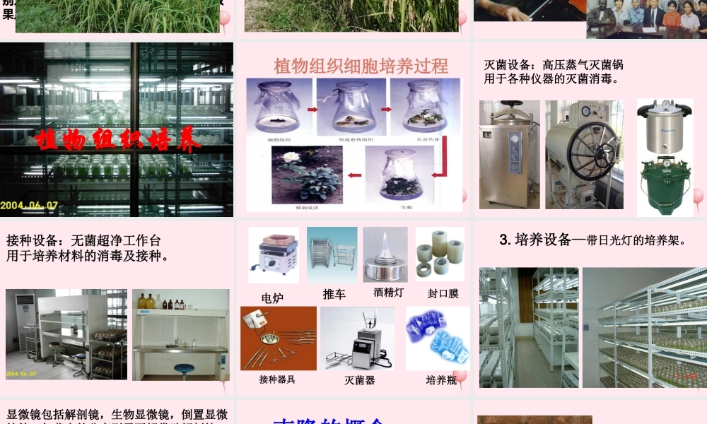 五年级科学下册 第11课《生物繁殖新技术》课件1 鄂教版-鄂教版小学五年级下册自然科学课件