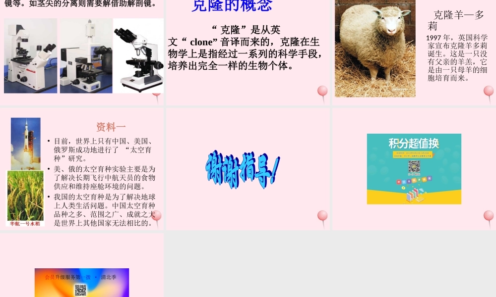 五年级科学下册 第11课《生物繁殖新技术》课件1 鄂教版-鄂教版小学五年级下册自然科学课件