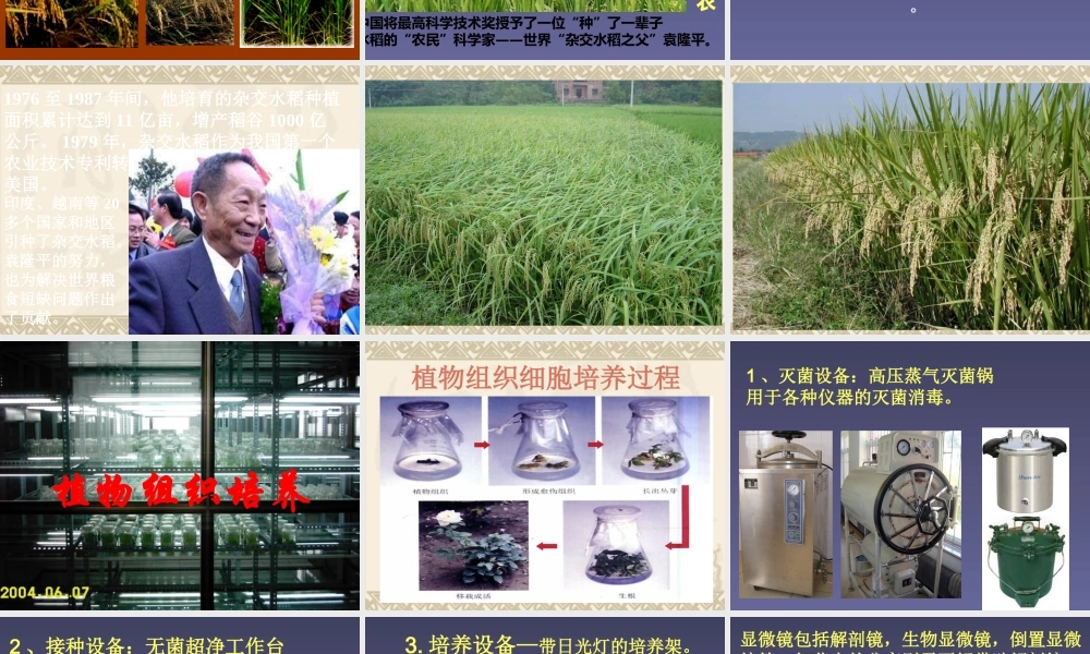 五年级科学下册 第11课《生物繁殖新技术》课件3 鄂教版-鄂教版小学五年级下册自然科学课件