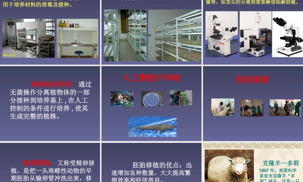 五年级科学下册 第11课《生物繁殖新技术》课件3 鄂教版-鄂教版小学五年级下册自然科学课件