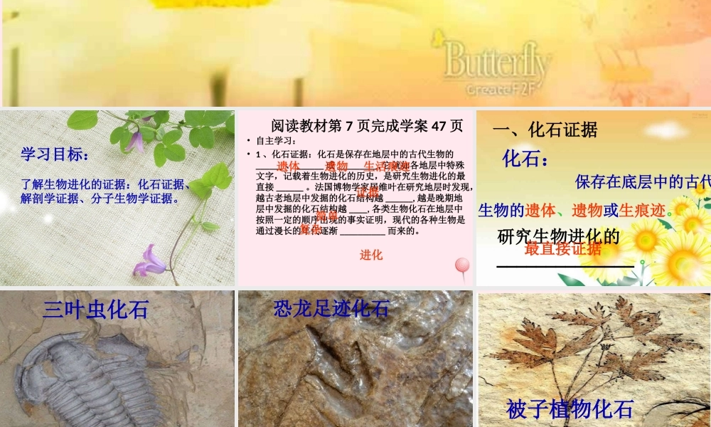 五年级科学下册 第11课《寻找进化的证据》课件1 冀教版-冀教版小学五年级下册自然科学课件