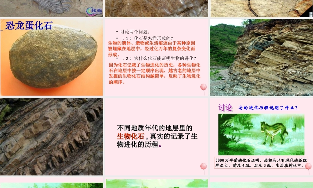 五年级科学下册 第11课《寻找进化的证据》课件1 冀教版-冀教版小学五年级下册自然科学课件