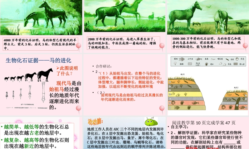 五年级科学下册 第11课《寻找进化的证据》课件1 冀教版-冀教版小学五年级下册自然科学课件