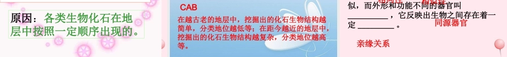 五年级科学下册 第11课《寻找进化的证据》课件1 冀教版-冀教版小学五年级下册自然科学课件