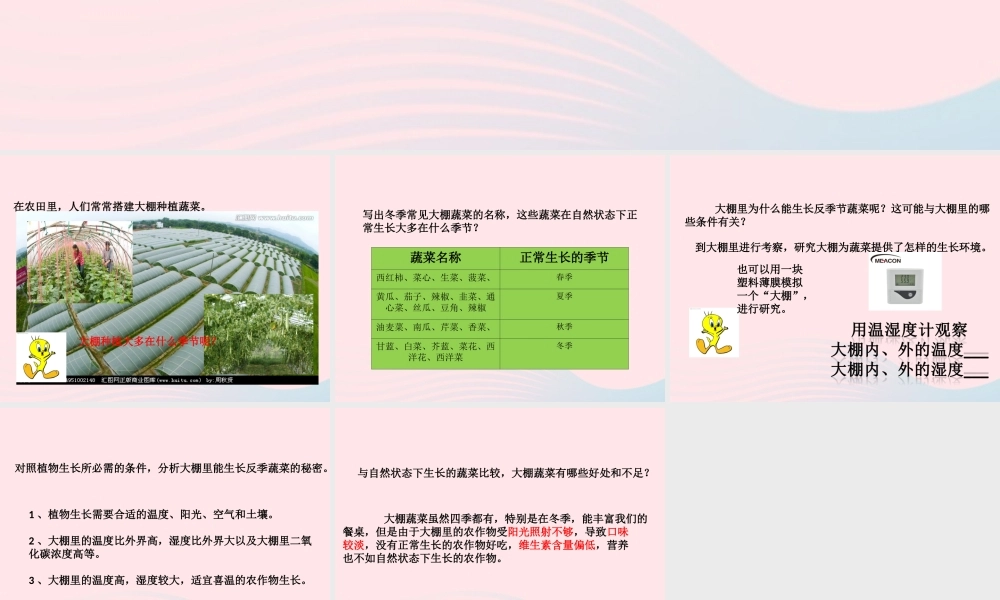 五年级科学上册 第22课《大棚蔬菜》课件（1） 鄂教版-鄂教版小学五年级上册自然科学课件