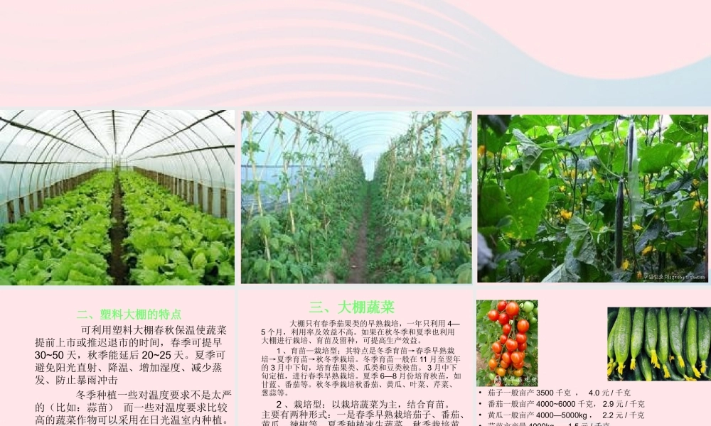 五年级科学上册 第22课《大棚蔬菜》课件（2） 鄂教版-鄂教版小学五年级上册自然科学课件