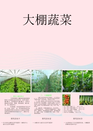 五年级科学上册 第22课《大棚蔬菜》课件（2） 鄂教版-鄂教版小学五年级上册自然科学课件