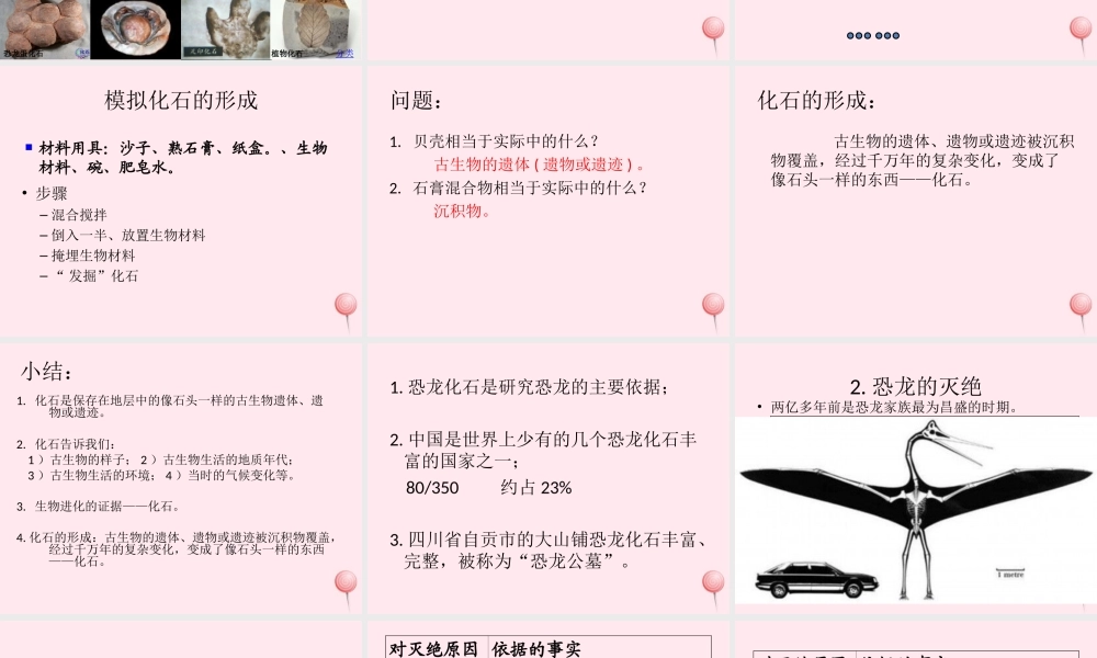 五年级科学下册 第11课《寻找进化的证据》课件2 冀教版-冀教版小学五年级下册自然科学课件