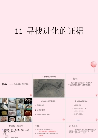 五年级科学下册 第11课《寻找进化的证据》课件2 冀教版-冀教版小学五年级下册自然科学课件