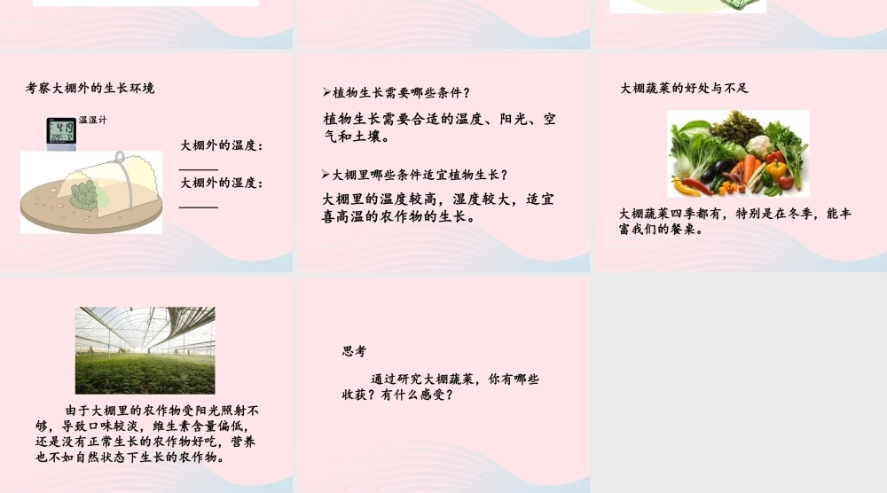 五年级科学上册 第22课《大棚蔬菜》课件（3） 鄂教版-鄂教版小学五年级上册自然科学课件