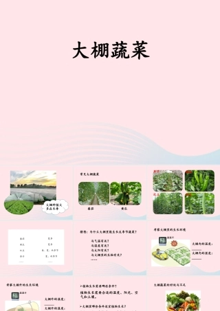 五年级科学上册 第22课《大棚蔬菜》课件（3） 鄂教版-鄂教版小学五年级上册自然科学课件