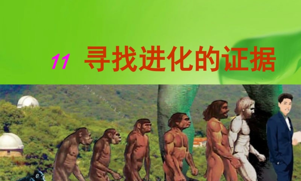 五年级科学下册 第11课《寻找进化的证据》课件3 冀教版-冀教版小学五年级下册自然科学课件