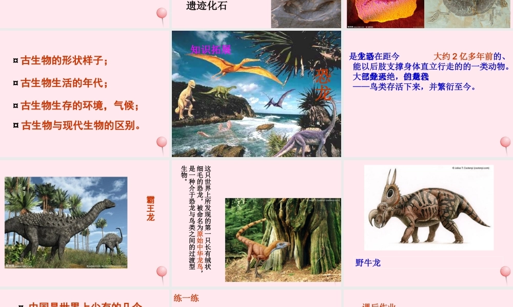 五年级科学下册 第11课《寻找进化的证据》课件3 冀教版-冀教版小学五年级下册自然科学课件